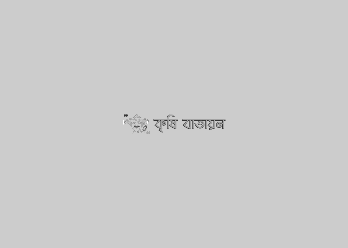 জাতীয় কৃষি যন্ত্রপাতি মেলা ২০১৯